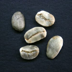 mottled/spotted beans