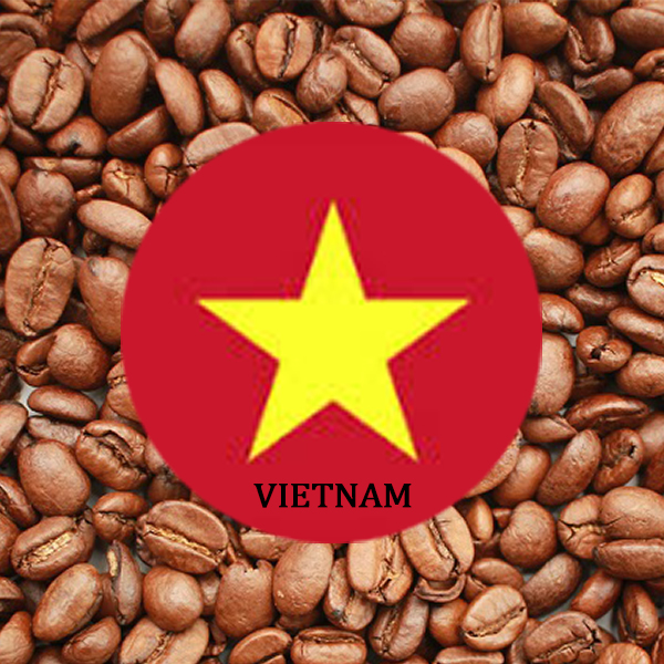 دان قهوه ویتنام لایت رست - 5 کیلویی