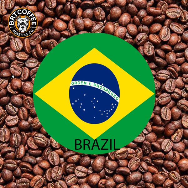 دان قهوه برزیل ریو عربیکا فله - 5kg